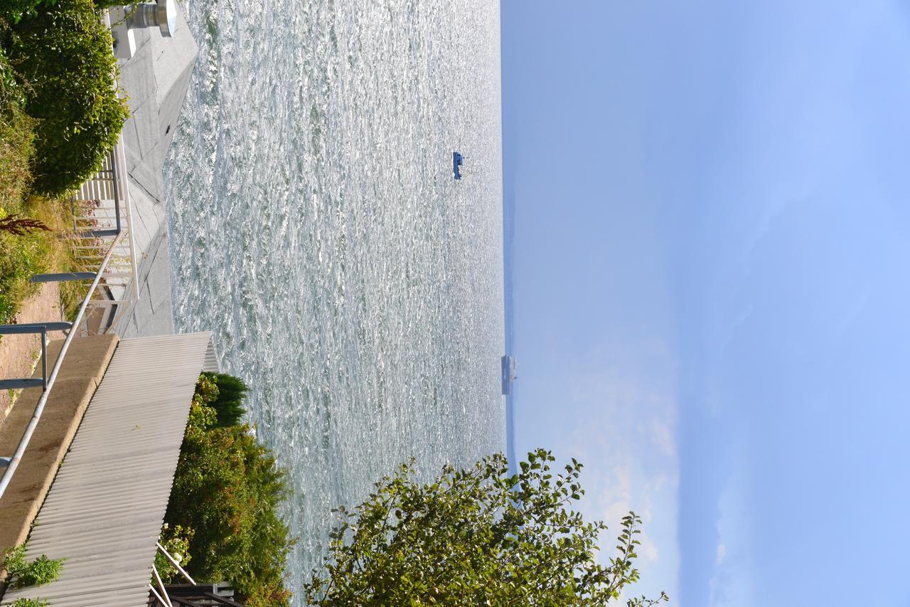 Meerforelle 207 - Villa Seeblick Sassnitz Esterno foto