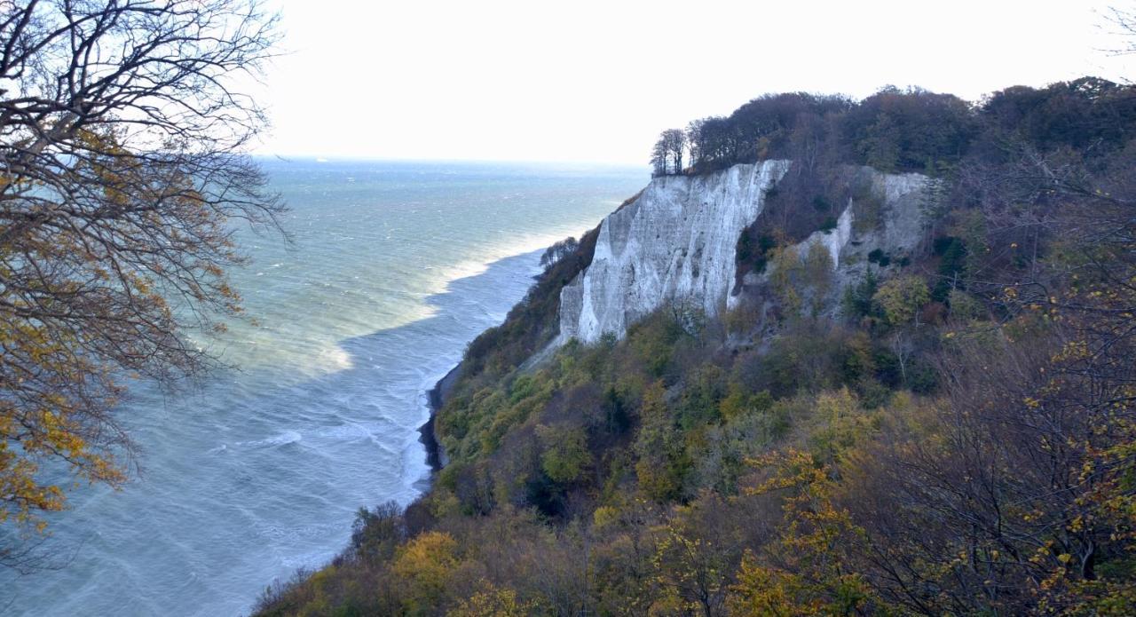 Meerforelle 207 - Villa Seeblick Sassnitz Esterno foto
