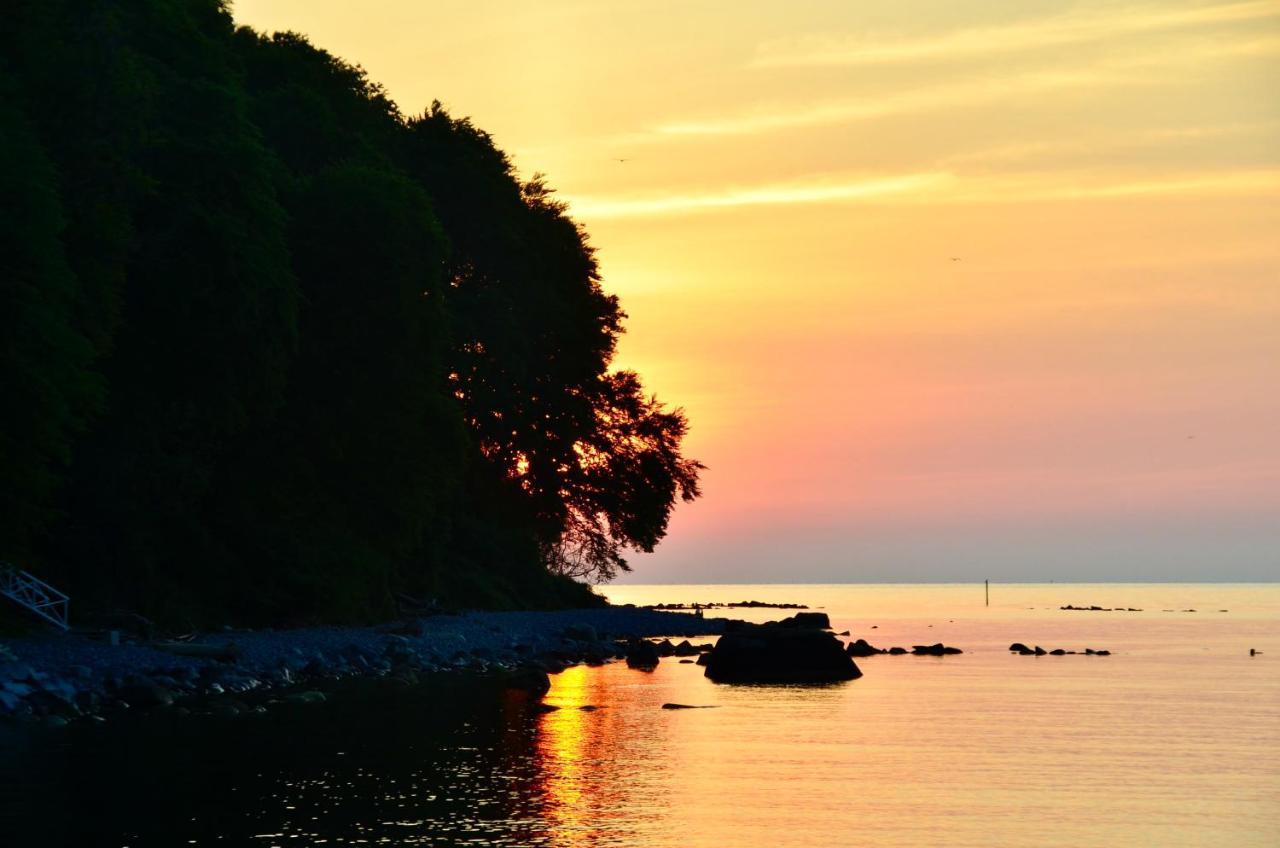 Meerforelle 207 - Villa Seeblick Sassnitz Esterno foto