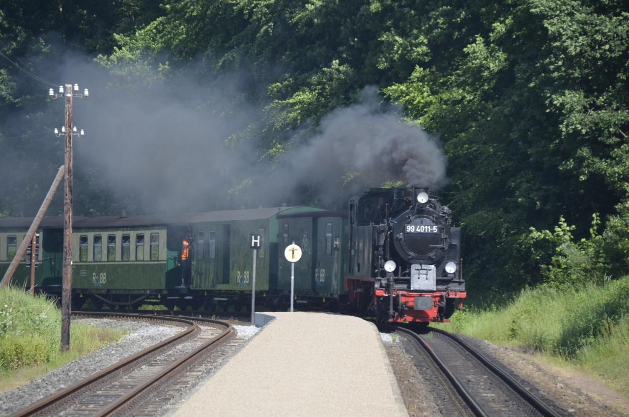 Meerforelle 207 - Villa Seeblick Sassnitz Esterno foto