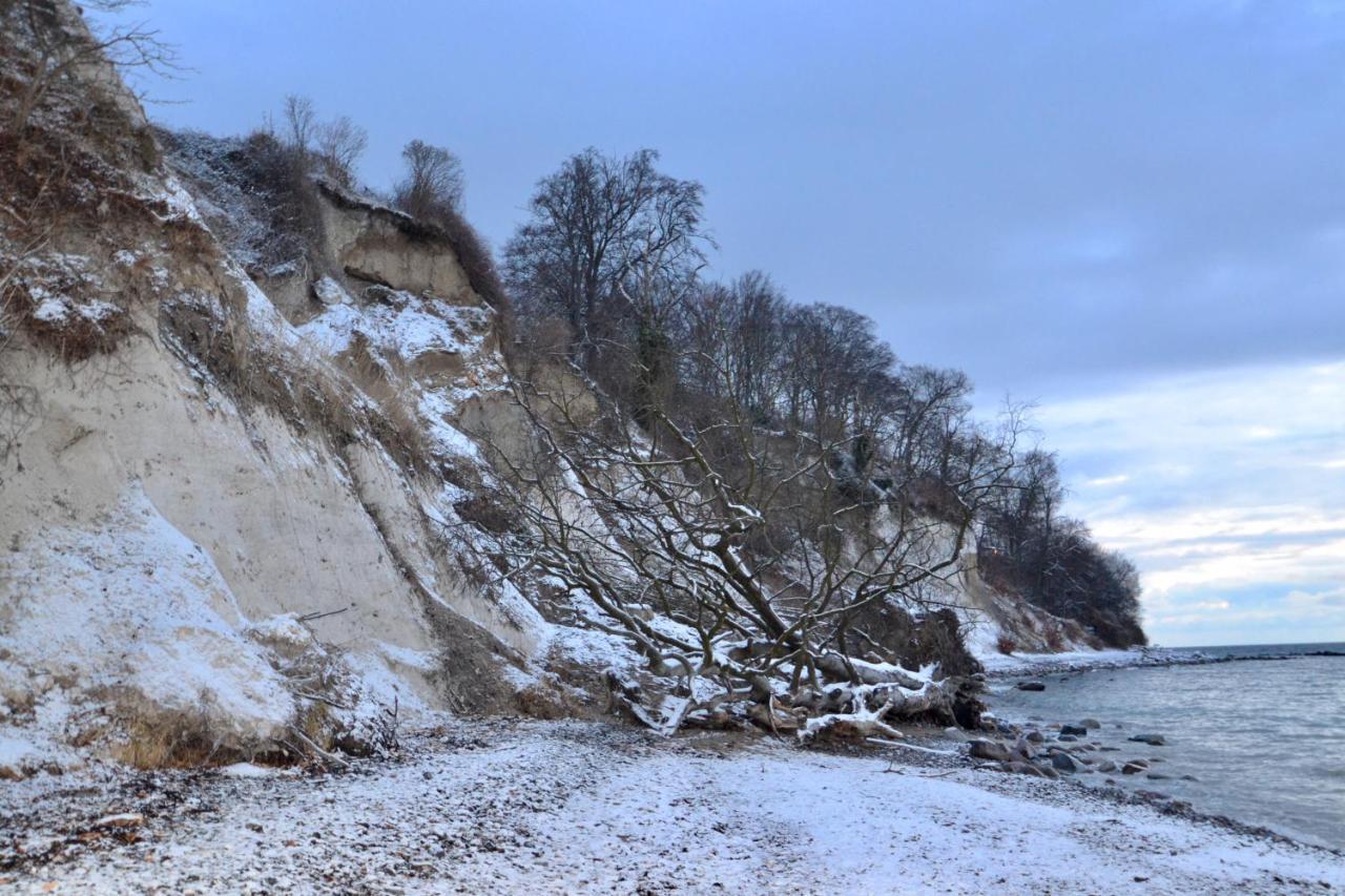 Meerforelle 207 - Villa Seeblick Sassnitz Esterno foto