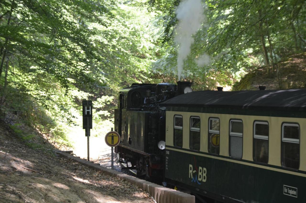 Meerforelle 207 - Villa Seeblick Sassnitz Esterno foto