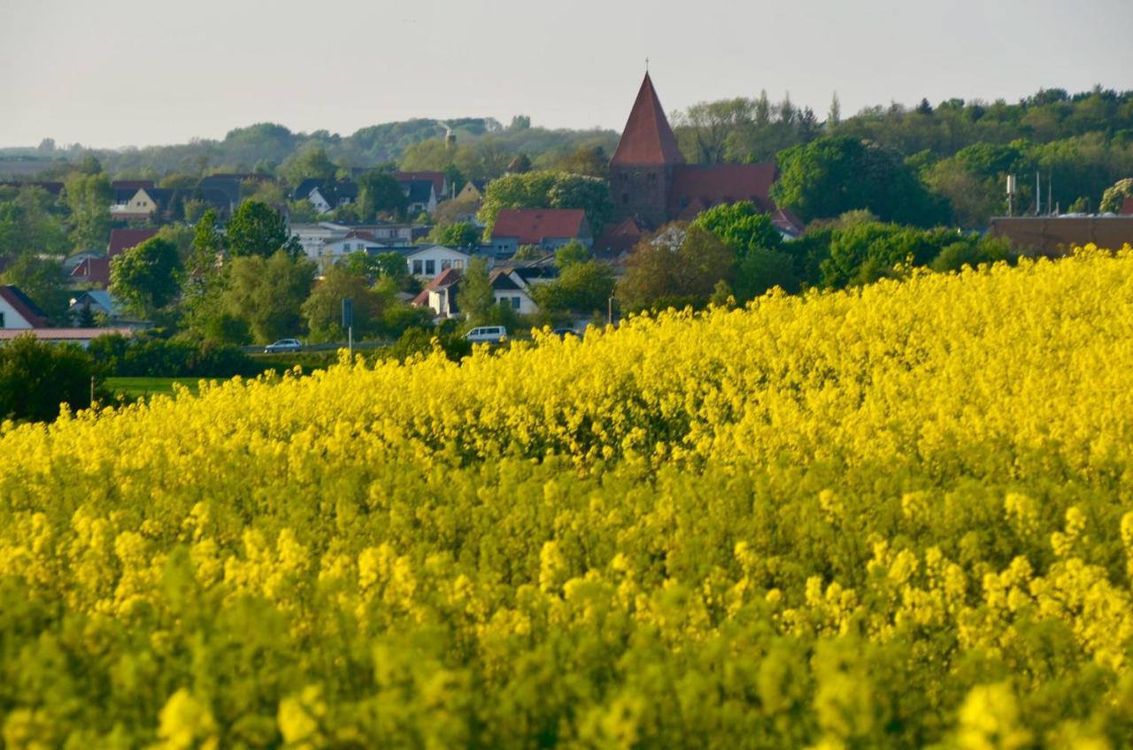 Meerforelle 207 - Villa Seeblick Sassnitz Esterno foto