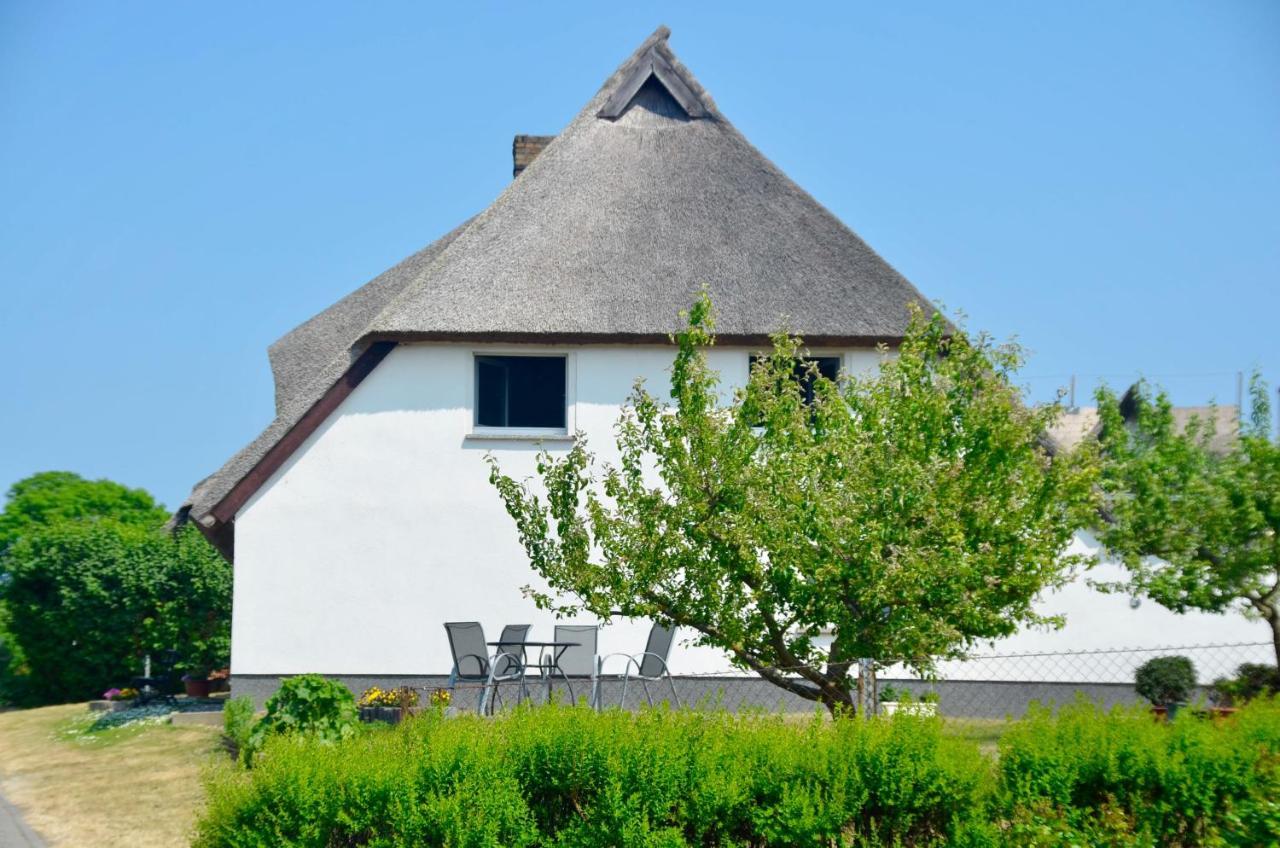 Meerforelle 207 - Villa Seeblick Sassnitz Esterno foto
